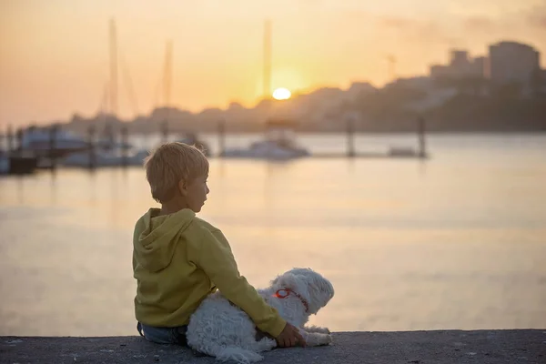 Barn Pojkar Bröder Njuter Solnedgången Över Floden Med Sin Sällskapsdjur — Stockfoto