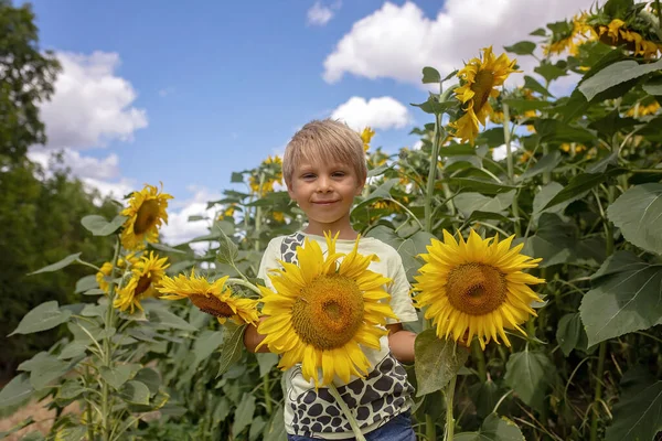 Beautiful Blond Child Boy Playing Sunfrowers Field Summertime Sunny Day — Stock Photo, Image