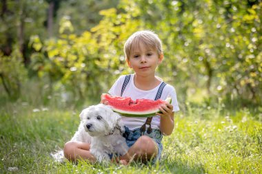 Muhteşem sarışın çocuk, evcil köpeği olan çocuk, yazın bahçede karpuz yiyor.