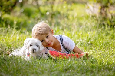Muhteşem sarışın çocuk, evcil köpeği olan çocuk, yazın bahçede karpuz yiyor.
