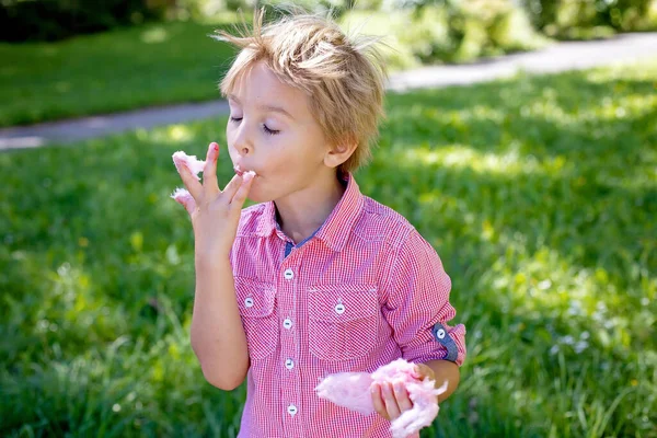Lindo Niño Preescolar Comer Algodón Azúcar Rosa Parque Verano — Foto de Stock