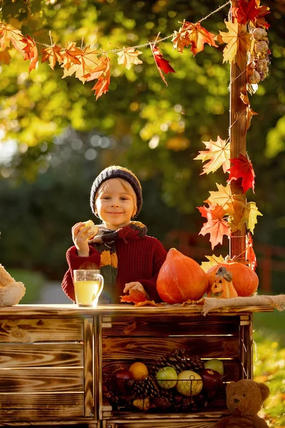 Cute Blond Toddler Child Standing Next Autumn Wooden Stand Decoration — Stock Photo, Image