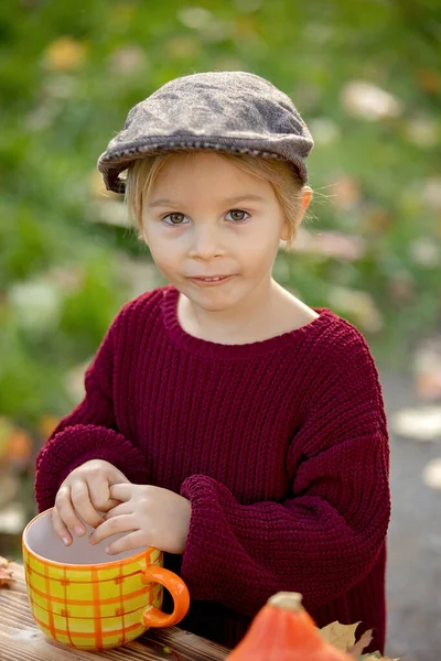 かわいいブロンドの幼児の子供は 公園で装飾 リンゴ マグカップ ハリネズミと秋の木製のスタンドの横に立って — ストック写真