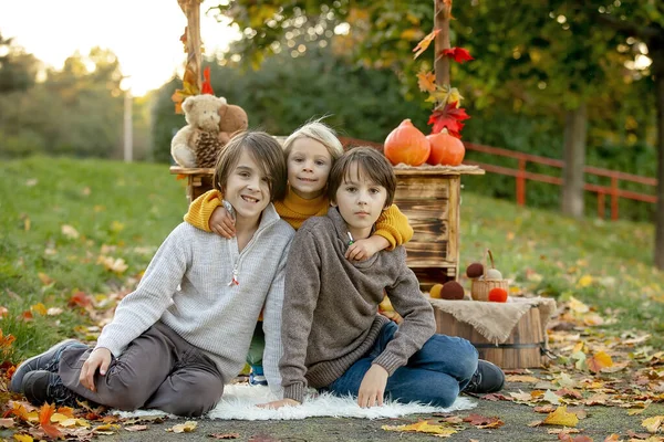 Χαριτωμένο Ξανθό Παιδί Νήπιο Και Αδέλφια Στέκεται Δίπλα Στο Φθινόπωρο — Φωτογραφία Αρχείου
