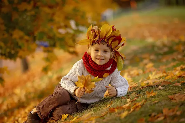 Criança Pequena Adorável Menino Loiro Com Coroa Folhas Parque Dia — Fotografia de Stock