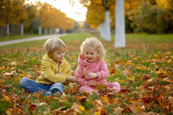 Cute Blond Maluch Dzieci Chłopiec Dziewczyna Spacery Jesiennym Parku Zachód — Zdjęcie stockowe