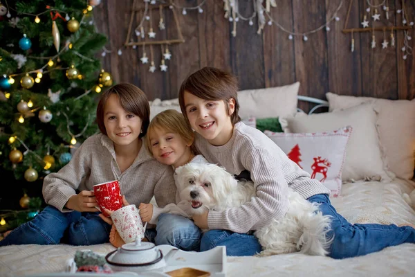 Happy Family Children Pet Dog Enjoying Christmas Time Together Celethday — Stock fotografie