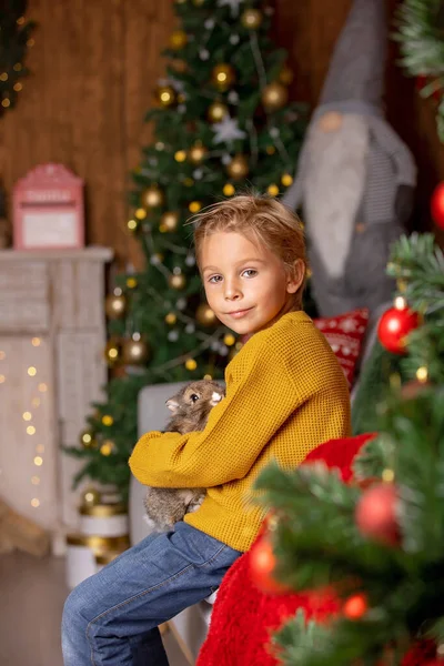 美しい小さなブロンドの子供 かわいい男の子 小さなペットウサギを抱き 家で抱きしめる — ストック写真