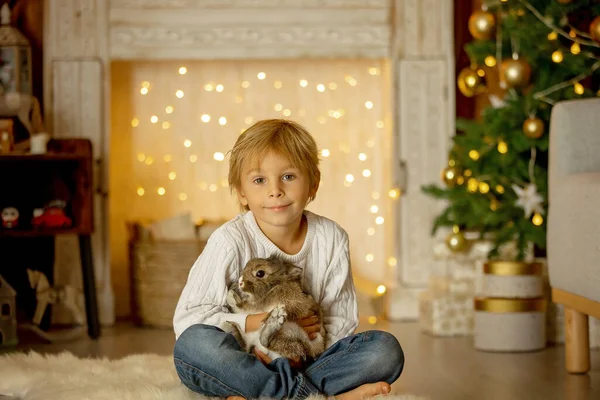 Vakker Liten Blondt Barn Søt Gutt Holder Liten Kjæledyr Kanin – stockfoto