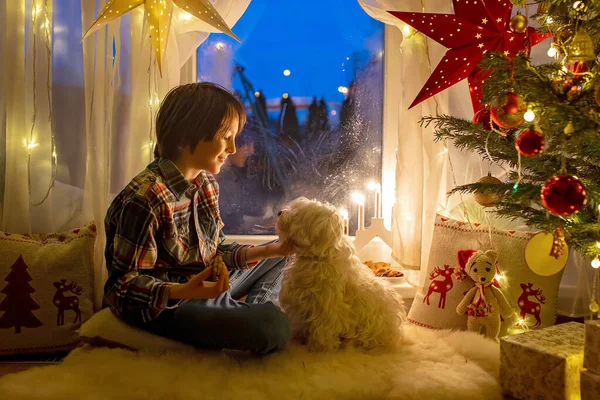 蹒跚学步的孩子 可爱的金发男孩 穿着睡衣坐在窗上 望着萨特娜 克劳斯 吃着饼干 身边点着圣诞灯 — 图库照片