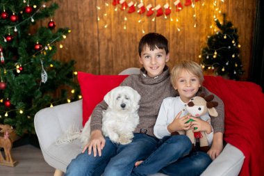 Güzel sarışın çocuk ve ağabeyi, genç okul çocukları, Noel 'de evcil köpekleri ile süslü bir evde oynuyorlar.
