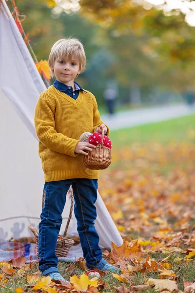 Cute Blond Child Boy Playing Knitted Toys Park Autumntime Mushrooms — Stock Photo, Image