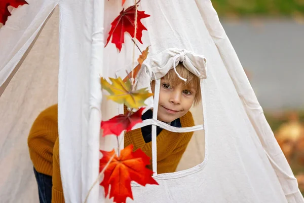Симпатичный Блондин Ребенок Мальчик Играющий Вязаными Игрушками Парке Осень Грибы — стоковое фото