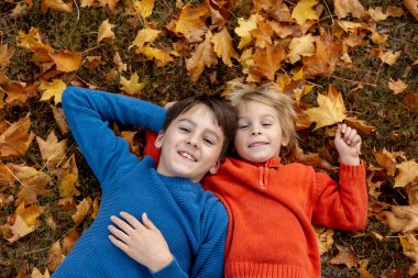 Şirin çocuklar, kardeşlerim, çocuklar, parkta örgü ören oyuncaklarla oynuyorlar, sonbahar, mantar, yaprak, balkabağı