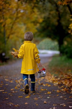 Güzel sarışın anaokulu çocuğu, yağmurda yapraklarla, mantarlarla ve balkabaklarıyla oynuyor, şemsiyesini tutuyor, güzel bir sonbahar günü.