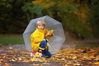 Güzel sarışın anaokulu çocuğu, yağmurda yapraklarla, mantarlarla ve balkabaklarıyla oynuyor, şemsiyesini tutuyor, güzel bir sonbahar günü.