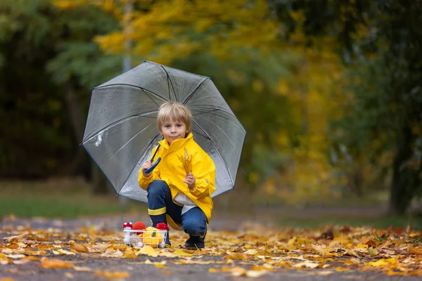 Krásné Blonďaté Předškolní Dítě Hrající Listy Houbami Dýněmi Dešti Držící — Stock fotografie