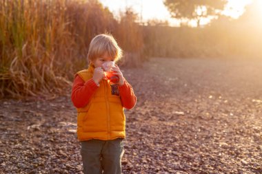 Güzel sarışın anaokulu çocuğu, sabah güneş doğarken parkta oturuyor, sonbahar havasının tadını çıkarıyor, çay içiyor ve güneşin tadını çıkarıyor.