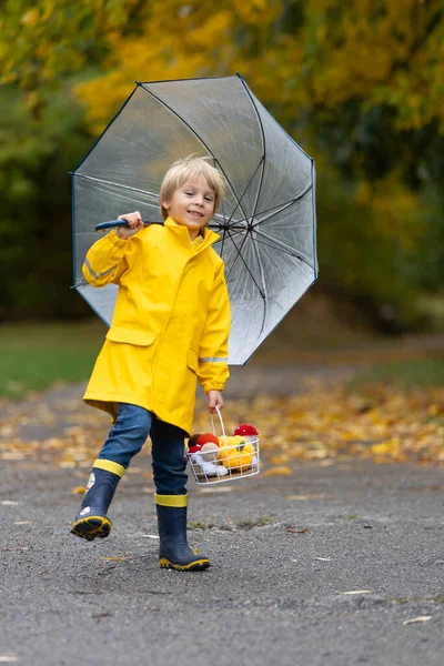 Vackert Blont Förskolebarn Leker Med Löv Svamp Och Pumpor Regnet — Stockfoto