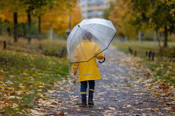 Mooi Blond Kleuter Spelend Met Bladeren Paddestoelen Pompoenen Regen Paraplu — Stockfoto