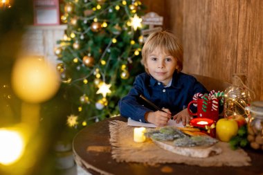 Büyükannem ve çocuğum Noel 'de evdeler, okuyor, mektup yazıyor, yemek pişiriyor, Noel tatilinin tadını çıkarıyorlar.