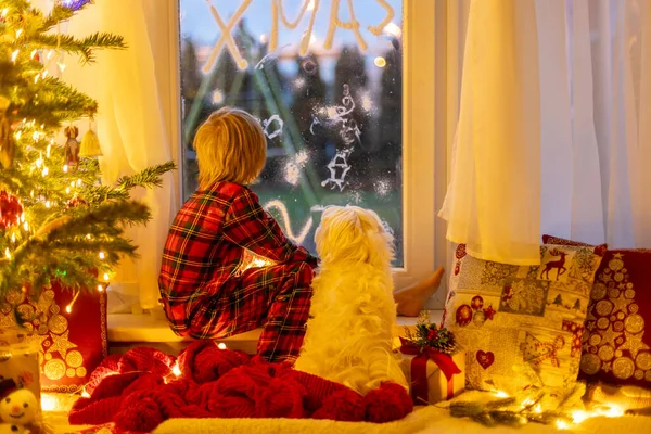 Tatlı Çocuk Pencerenin Önünde Oturuyor Noel Baba Arıyor Kurabiye Yiyor — Stok fotoğraf