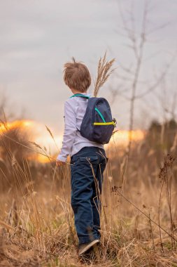 Sevimli küçük çocuk, oğlum, sonbahar günü parkta çiçek tutuyor, gün batımı, sırt çantalı turizm