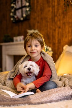 Küçük çocuk, oğlum, evcil bir köpekle yatakta uzanıyor, küçük bir köpek, kitap okuyor, güzel yumuşak bir ışık.