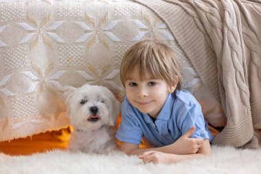 Little preschool child, hiding under the bed with his dog,  holding flashlight at home clipart