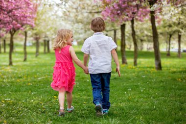 Mutlu güzel çocuk, çocuk, küçük güzel ördek yavruları ya da yavru kuşlarla oynuyor, sevimli tüylü sarı hayvan kuşları