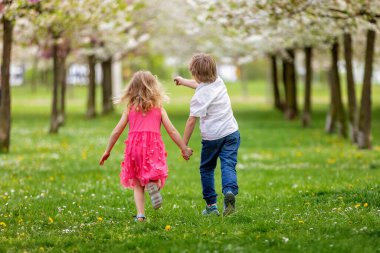 Mutlu güzel çocuk, çocuk, küçük güzel ördek yavruları ya da yavru kuşlarla oynuyor, sevimli tüylü sarı hayvan kuşları