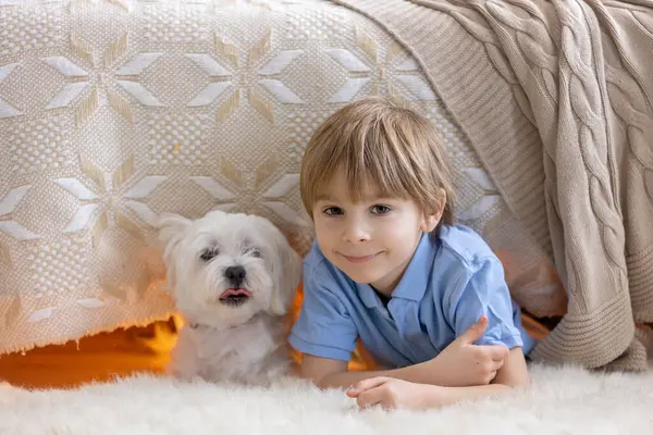 Little Preschool Child Hiding Bed His Dog Holding Flashlight Home — Stock Photo, Image
