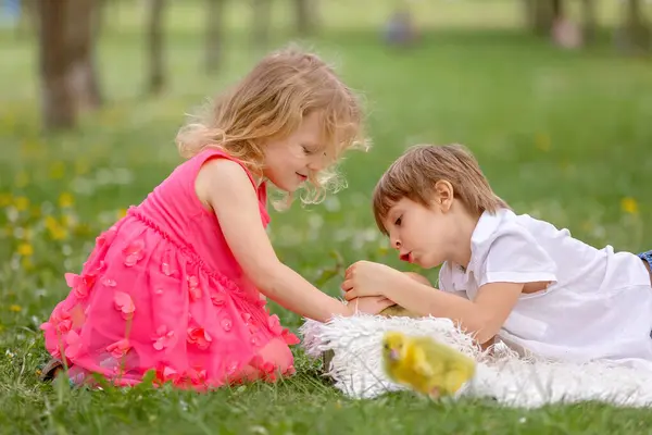 Glücklich Schönes Kind Kind Spielend Mit Kleinen Schönen Entchen Oder Stockbild