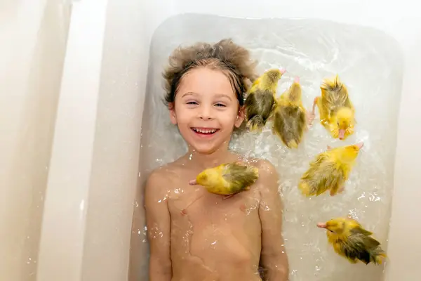 Feliz Hermoso Niño Niño Jugando Con Pequeños Patitos Hermosos Goslings —  Fotos de Stock