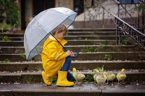 Nettes Kleines Schulkind Das Einem Regnerischen Tag Frühling Park Mit Stockfoto