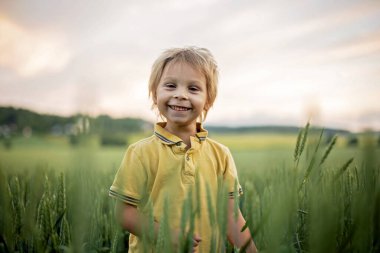 Cute toddler child, playing in a green field in Norway on sunset, happiness kid, blond boy