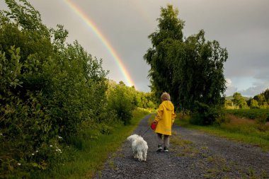 Little child with yellow raincoat and maltese dog, walking on a path, rainbow in front of him, Norway nature