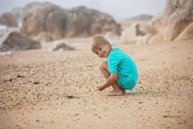Güzel sarışın çocuk, evlat, Portekiz sahilinde deniz kabuğu topluyor, bulutlu bir günde, yaz zamanı.