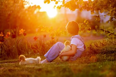 Güzel bir okul çocuğu, gün batımında parkta küçük bir dedikoduyla oynuyor, çıplak ayaklı çocuk genç hayvan kuşlarını seviyor.