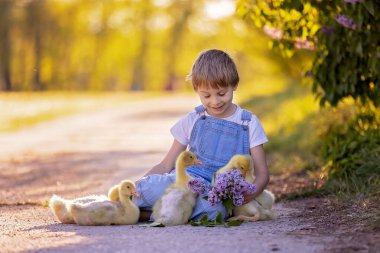 Güzel bir okul çocuğu, gün batımında parkta küçük bir dedikoduyla oynuyor, çıplak ayaklı çocuk genç hayvan kuşlarını seviyor.