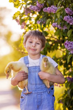 Güzel bir okul çocuğu, gün batımında parkta küçük bir dedikoduyla oynuyor, çıplak ayaklı çocuk genç hayvan kuşlarını seviyor.