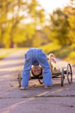 Güzel bir okul çocuğu, gün batımında parkta küçük bir dedikoduyla oynuyor, çıplak ayaklı çocuk genç hayvan kuşlarını seviyor.