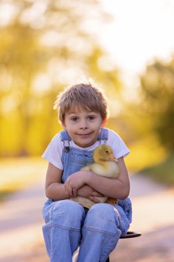Güzel bir okul çocuğu, gün batımında parkta küçük bir dedikoduyla oynuyor, çıplak ayaklı çocuk genç hayvan kuşlarını seviyor.
