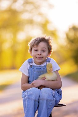 Güzel bir okul çocuğu, gün batımında parkta küçük bir dedikoduyla oynuyor, çıplak ayaklı çocuk genç hayvan kuşlarını seviyor.