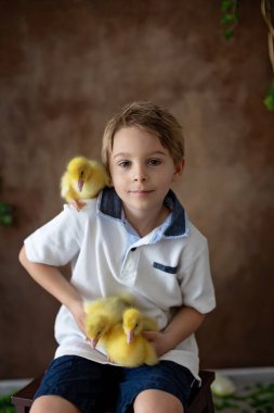 Mutlu güzel çocuk, çocuk, küçük güzel ördek yavruları ya da kazlarla oynuyor, sevimli tüylü sarı hayvan kuşları