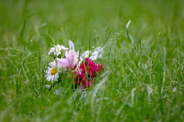 Tatlı çocuk, baharda bahçesinde fileto çiçekleri olan bir vazo tutuyor.