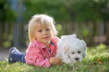 Çocuk, sevimli çocuk, parkta köpek evcil hayvanıyla oynuyor, kötü huylu köpek ve çocuk birlikte yürümekten hoşlanıyor.