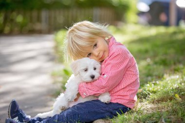 Çocuk, sevimli çocuk, parkta köpek evcil hayvanıyla oynuyor, kötü huylu köpek ve çocuk birlikte yürümekten hoşlanıyor.