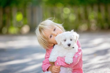 Çocuk, sevimli çocuk, parkta köpek evcil hayvanıyla oynuyor, kötü huylu köpek ve çocuk birlikte yürümekten hoşlanıyor.