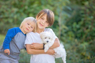 Çocuk, sevimli çocuk, parkta köpek evcil hayvanıyla oynuyor, kötü huylu köpek ve çocuk birlikte yürümekten hoşlanıyor.